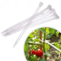Collier de serrage et tuteurage rÃ©utilisable transparent L.15,5 x l.0,7cm - 25pcs