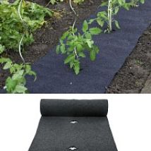 Feutre de paillage pour tomates et fraisiers prÃ© percÃ© 5m x 60cm