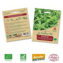 Basilic Genovese graine semence bio