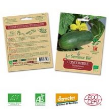 Concombre Marketmore graine semence bio
