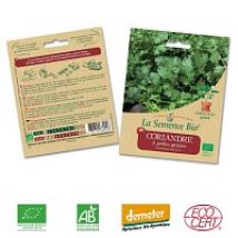 Coriandre Ã  petites graines semence bio