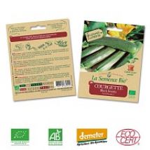 Courgette Black Beauty graine semence bio