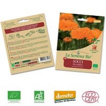 Souci des Jardins graine semence bio