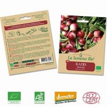 Radis National graine semence bio