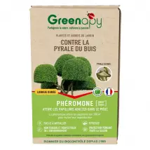 PhÃ©romone contre la Pyrale du buis longue durÃ©e, Ginko Buxus - Protection saison complÃ¨te