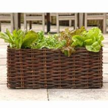 Potager Balcon salade et tomate 62L