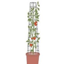 Tuteurs tomate universel - lot de 2