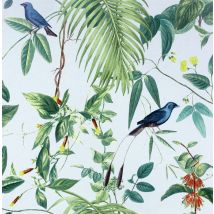 Exotic Garden Blue Sw12