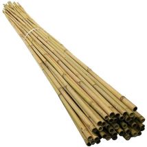 100 Bamboo Garden Stakes - 5ft (150cm) Natural Support Canes For Plants