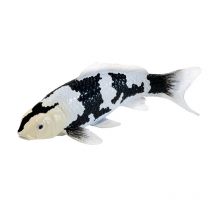 Mojo Fun Hand-painted Shiro Utsuri Koi Carp Figurine – Realistic Fish Toy