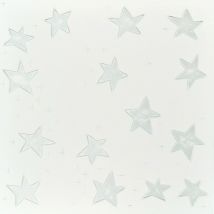 Alpina Decorations Silver Stars Decorative Ceiling & Wall Panels - 2m2 (21.52 Sqft) - 8 Panels