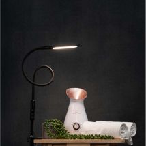 Native Lighting Black Flexible Gooseneck Desk Lamp With Clamp - Over 1m Reach