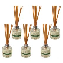 Green Laurels Bergamot Reed Diffuser Oil Based 100ml Pack Of 6