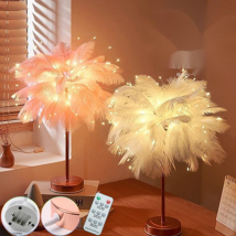 Plateforme Internet en plumes rouges Petite fille de nuit Ambiance en direct Chambre Décoration de chambre Lumière d'anniversaire romantique
