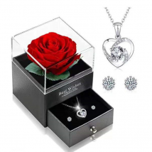 Jewelry Heart Shaped Sterg Sier Necklace Earrings Combination Set Female