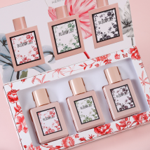 Parfum de Niche coffret parfum femme parfum longue durée eau de fleurs parfum doux parfum femme