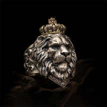 Couronne du roi Lion pour hommes, rétro gothique, créatif, dominateur, Punk, Hip Hop, bijoux d'anniversaire pour garçon, mode exquise