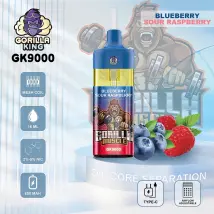 GK9000 Puff saveur de fruit Portable ¨¦l¨¦gant de haute qualit¨¦ e-¨¦lectronique c igarette Vape E-liquide V aporizer Pod syst¨¨me inclure de la nicotine