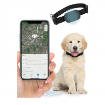 Collier localisateur Find My Pet Tracker anti-perte pour chat et chien GPS à distance pour iOS