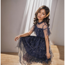 Girls' Summer Fashion Dress - Ins Children's Flared Net Silk Skirt - 2025 New Style Sweet A-Line Dress