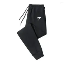 Men's Pants 2024 Fashion Men Casual Sports Running Workout Jogging Long Gym Sport Trousers For Jogger Sweatpants