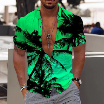 Vêtements pour hommes Chemise hawaïenne Chemise imprimée à manches courtes pour hommes Taille pour hommes Chemise exclusive pour hommes de plage Grande taille