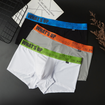 Vêtements pour hommes hommes glace soie mince couleur unie sous-vêtements respirants confortable simple sous-vêtements été