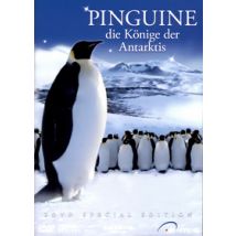 Pinguine - Disc 1 - Hauptfilm (DVD)