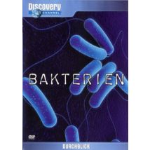 Durchblick - Bakterien (DVD)