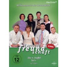 In aller Freundschaft - Staffel 11 - Disc 1 - Episoden 376 - 379 (DVD)