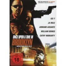 Once Upon a Time in Brooklyn (DVD)