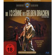 Die 13 Söhne des gelben Drachen (DVD)