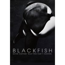 Blackfish (Blu-ray)