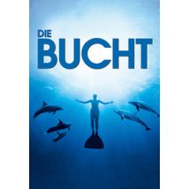 Die Bucht (DVD)