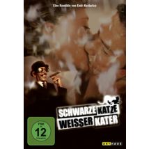 Schwarze Katze, weißer Kater (DVD)