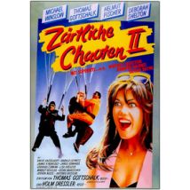 Zärtliche Chaoten 2 (DVD)
