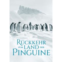 Rückkehr zum Land der Pinguine