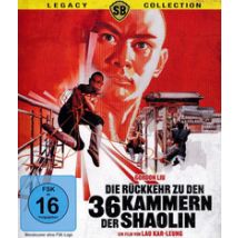 Die Rückkehr zu den 36 Kammern der Shaolin (DVD)