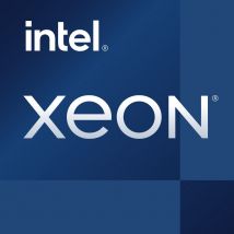intel Intel Xeon E-2334 suoritin 3,4 GHz 8 MB Smart Cache (CM8070804495913)