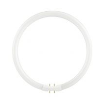 SL | FL Circline T5 | 2Gx13 Fitting | 22W | 4000K