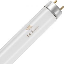 SPL | TL Buis | G13 Fitting | T8 | 18W | Blacklight UV insectenlamp | 59cm