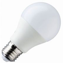 Lighto | LED lamp | Grote fitting E27 | Standaardlamp | Helder | 60mm | 9W