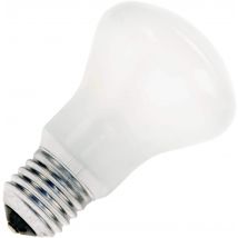 Gloeilamp | Grote fitting E27 | Superluxlamp | Opaal | 50mm | 60W