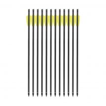 Pack of 12 15" arrows with screw-on points for Cobra R9