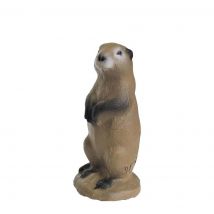 Cible 3D 3Di chien de prairie - 3Di