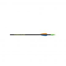 Lot de 60 tubes Beman Carbon Flash - Beman