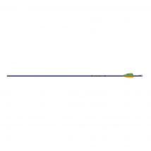 Easton XX75 Jazz Purple Pfeil - Easton