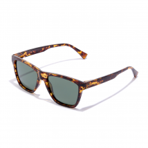 One Ls - Polarized Carey Aligator