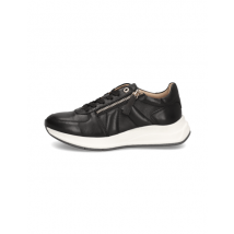 Salamander Sneaker