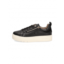 Salamander Sneaker